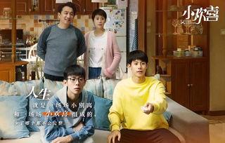 小欢喜电视剧在线观看免费,揭秘家庭教育的喜怒哀乐，免费在线观看，共度温馨时光